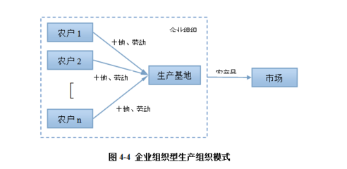 山东理工大学周涛 构建高效一体化组织体系，保障我国城市蔬菜供应链安全