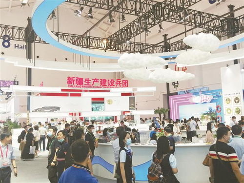 高擎党旗，锻造战斗堡垒 新时期兵团基层组织建设的实践与思考